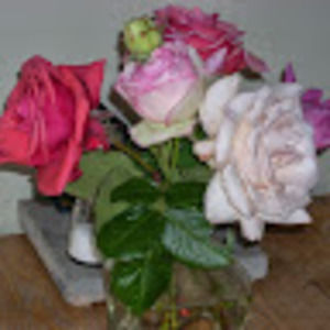 Meet your Posher, Rachel